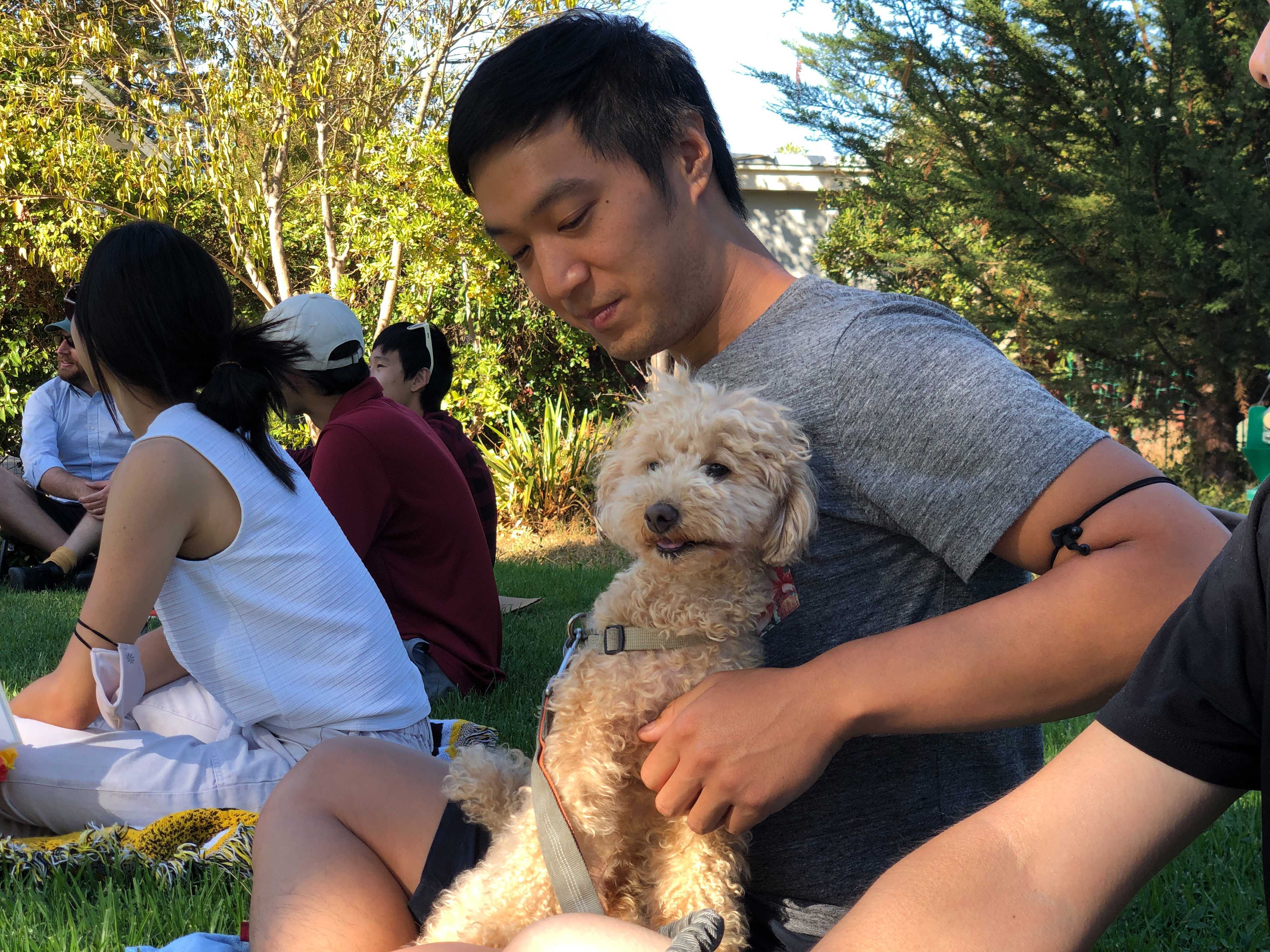 a dog sitting in a person's lap outside